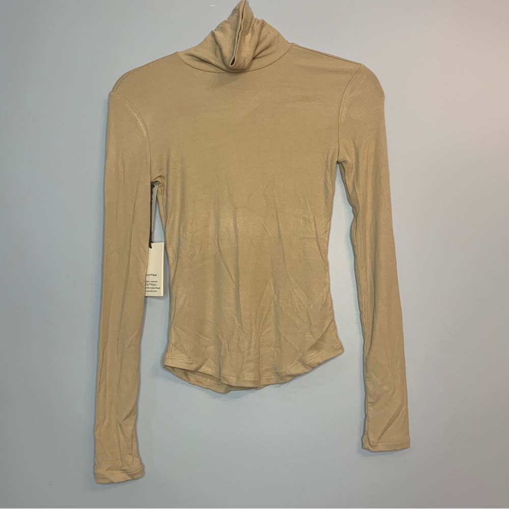 Aritzia Sunday Best Freshman Turtleneck